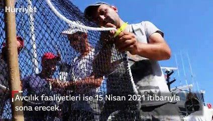 Bakanlık açıkladı... Su ürünleri sezonunu Cumhurbaşkanı Erdoğan açacak