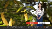 [날씨] 밤사이 내륙 '짙은 안개'…내일도 일교차 커