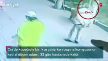 Akılalmaz olay! Başına komşusunun kedisi düştü, 23 gün hastanede kaldı