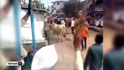 Çılgın boğa adamın üzerinden atladı
