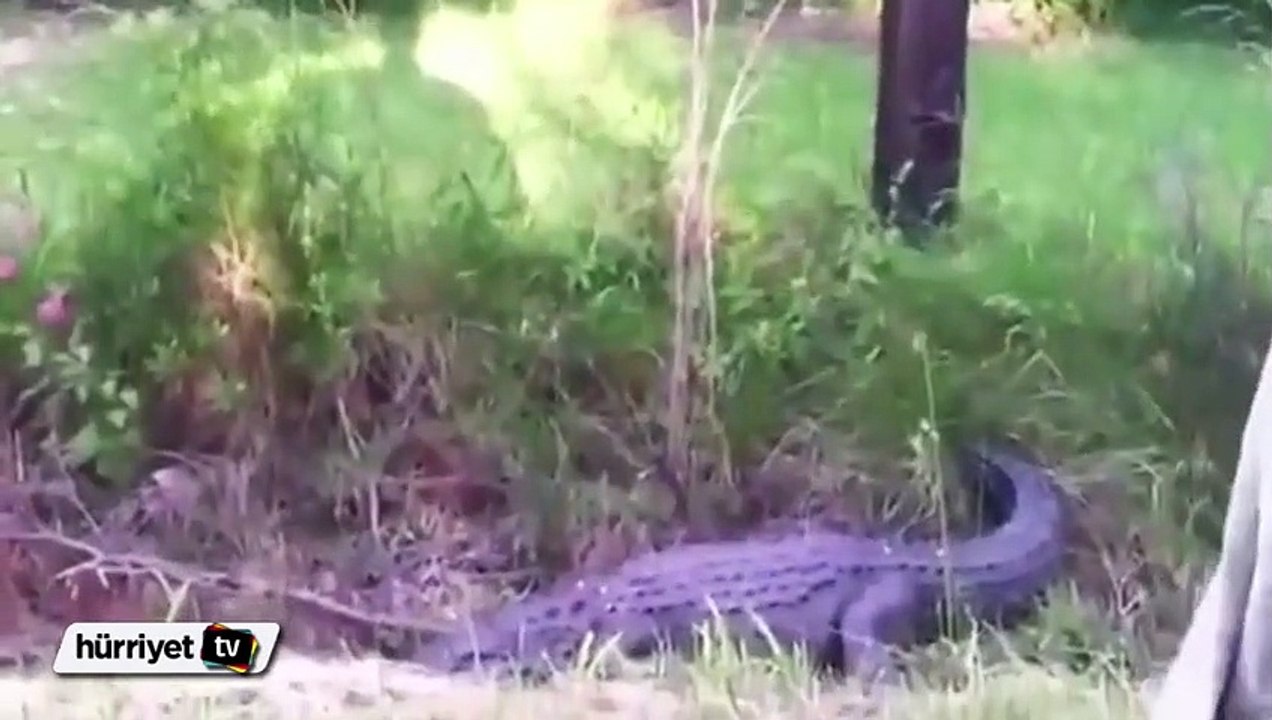 Canını zor kurtardı