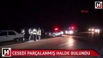 Adana'da korkunç olay: Cesedi parçalanmış halde bulundu