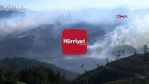 Adana Kozan'da orman yangını devam ediyor