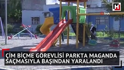 Çim biçme görevlisi parkta maganda saçmasıyla başından yaralandı