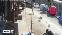 Sokakta yürüyen adamı tek hamlede yere seren maymun