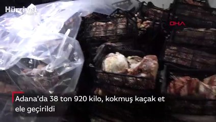 Adana'da 38 ton 920 kilo, kokmuş kaçak et ele geçirildi