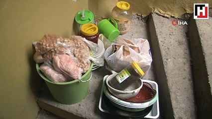 Yaşlı kadının hayatı karardı