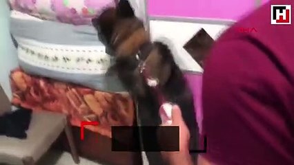 Evinde uyuşturucu bulundu, 'Çaldım, içinde ne olduğunu bilmiyorum' dedi