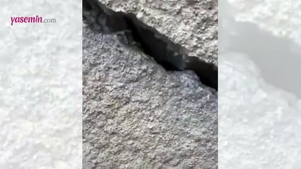 Duvardaki küçücük çatlakta yuva yapan kuşlar ilgi uyandırdı!