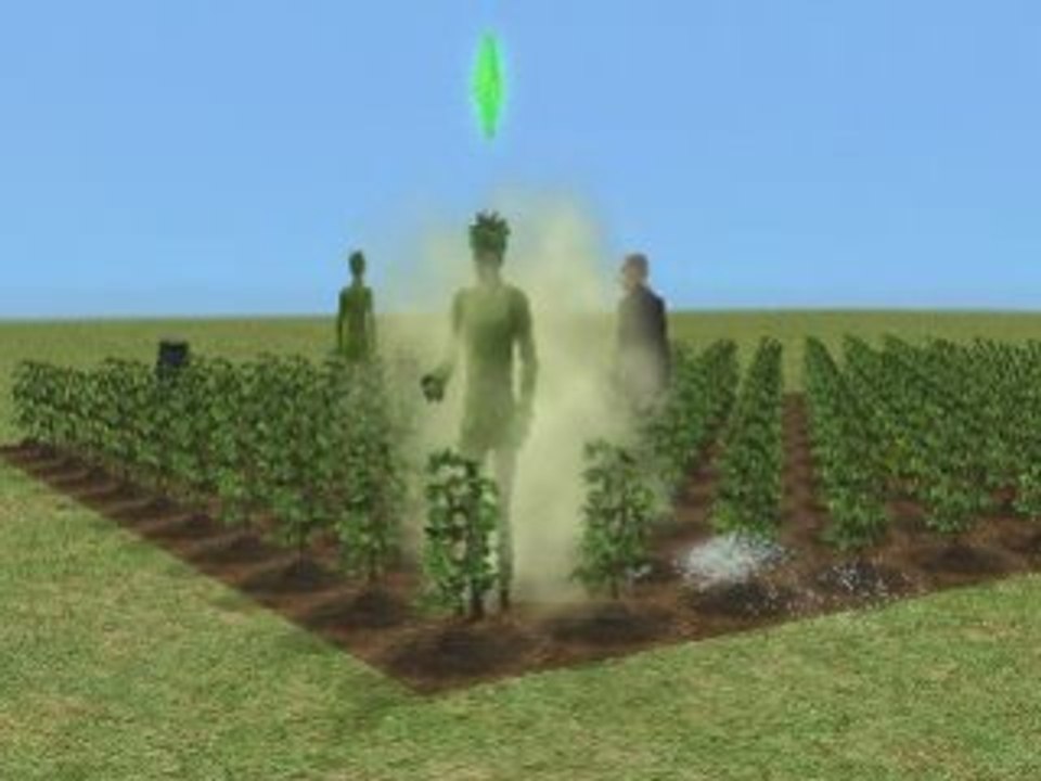 Végésims