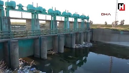 Sulama kanalında kadın cesedi bulundu