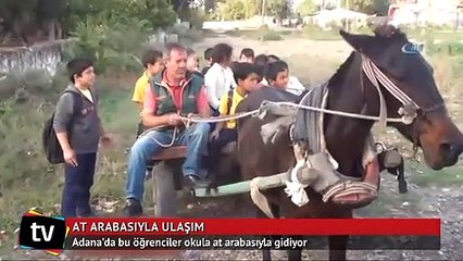 Öğrenciler okula at arabasıyla gidiyor