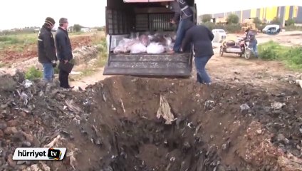 Adana'da 1 ton bozuk et imha edildi