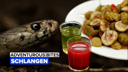 Schlangen in Vietnam: Eine mutige kulinarische Erfahrung 🐍