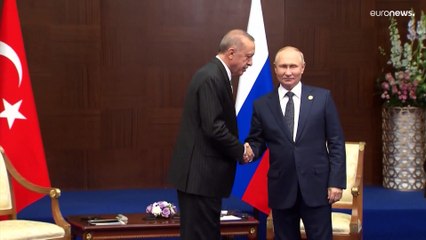 Putin y Erdogan hablan sobre la exportación de gas a Europa