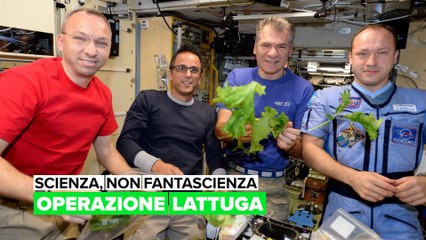 Scienza, non fantascienza: Operazione lattuga