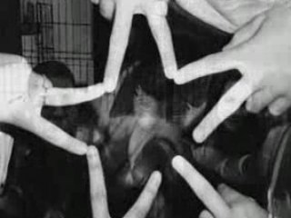 Montage Chloé Waouhh