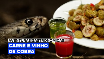 Aventuras Gastronômicas:  Carne e Vinho de Cobra
