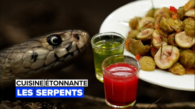 Cuisine étonnante : les serpents