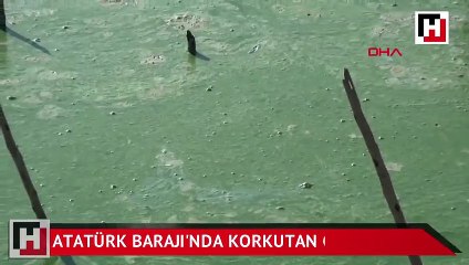 Atatürk Barajında korkutan görüntü