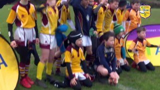 Aviva Minis Festival -  Old Crescent