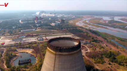 Frogs Around the Chernobyl Exclusion Zone Have Turned Black