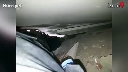 Depremde enkaz altında kalan kedi kurtarıldı