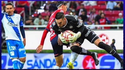 Buscan hacer competitivo a Chivas el an˜o que viene - Reacción en Cadena