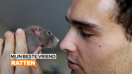 Mijn beste vriend: Ratten