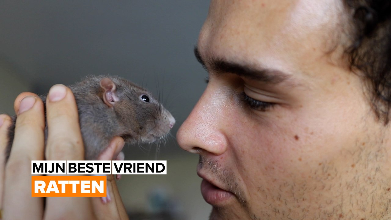 Mijn beste vriend: Ratten