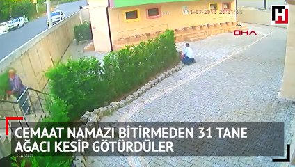 Cemaat namazı bitirmeden 31 ağacı kestiler