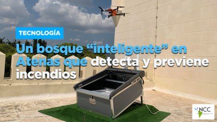 Un bosque “inteligente” en Atenas que detecta y previene incendios