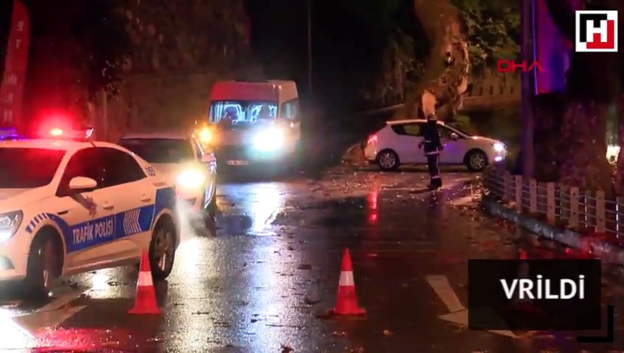 Sarıyer’de tünel girişine ağaç devrildi