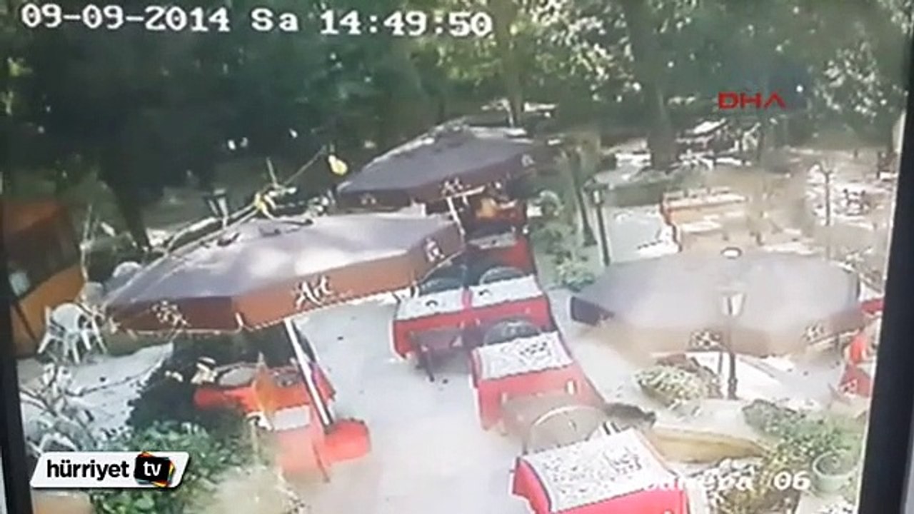 Çay bahçesinde devrilen ağacın düşme anı kamerada