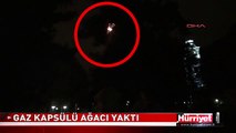 GAZ KAPSÜLÜ AĞACI YAKTI! TAKSİM GEZİ PARKI OLAYLARI