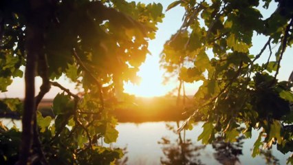 nature sounds relaxing music beautiful piano music