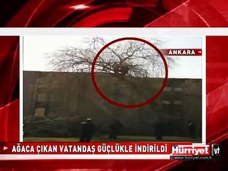 MECLİS'TE AĞACA ÇIKAN VATANDAŞ GÜÇLÜKLE İNDİRİLDİ