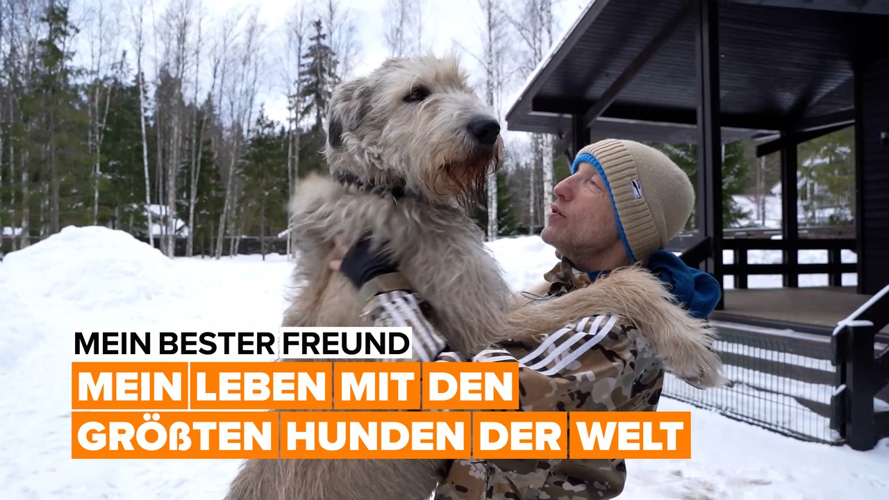 Mein bester Freund: der größte Hund der Welt