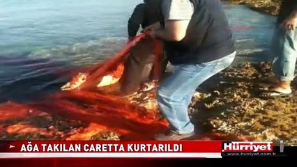 AĞA TAKILAN CARETTA BÖYLE KURTARILDI