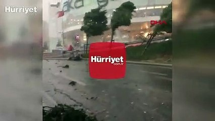 Üsküdar'da şiddetli rüzgar ağaçları böyle uçurdu