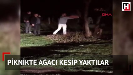 Piknikte ağacı kesip yaktılar