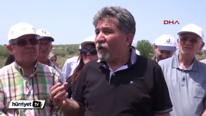 Yırca'da sökülen zeytinlerin yerine yenileri dikiliyor