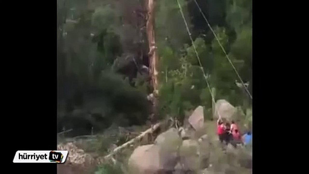 Ağacın intikamı