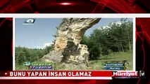 MANGAL İÇİN AĞACA BAKIN NE YAPMIŞLAR
