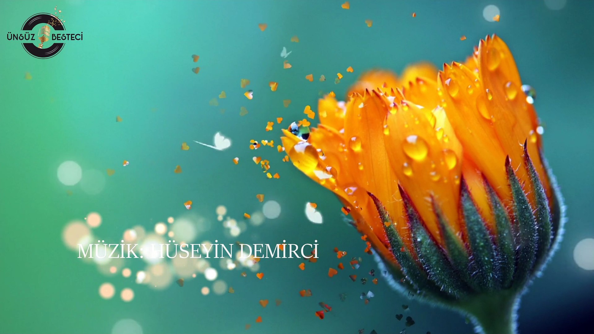 ⁣Harem / Instrumental Music