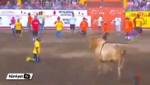 Boğaya meydan okumanın cezası ağır oldu
