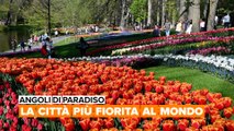 Angoli di paradiso: La città più fiorita al mondo