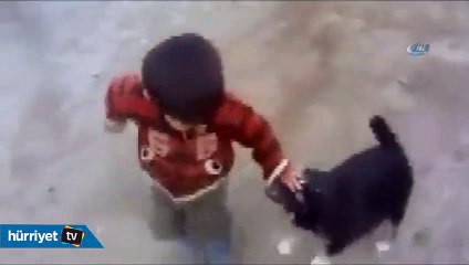 Minik çocukla yavru köpeğin gülümseten kavgası