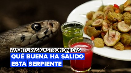 Aventuras gastronómicas: esta serpiente ha salido muy buena