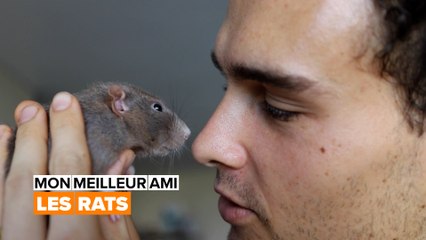 Mon meilleur ami : le rat